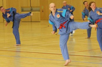 Andrew taking part in the Tukido seminar 2017